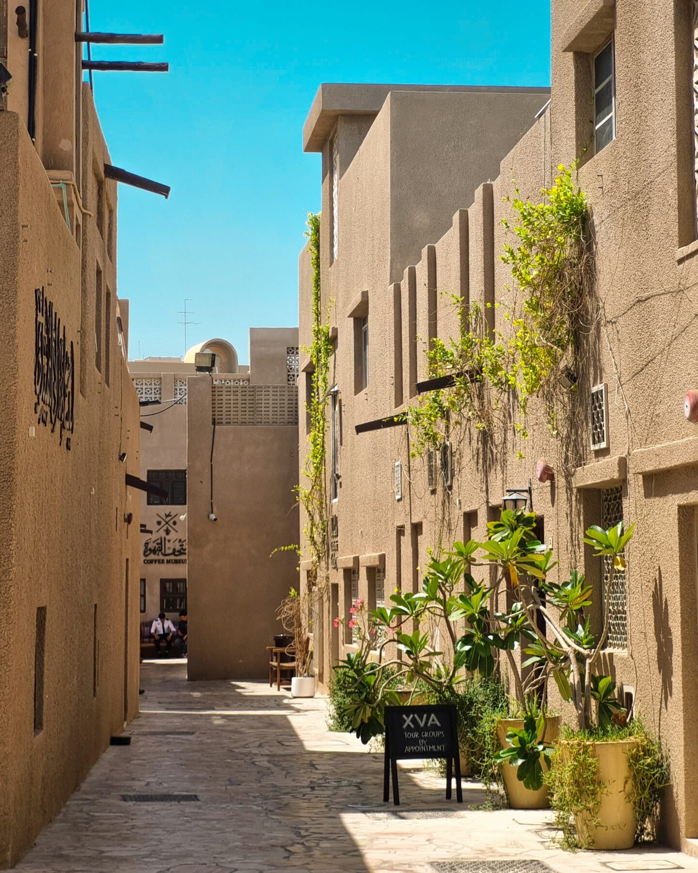 Sunny alley with potted plants and traditional architecture