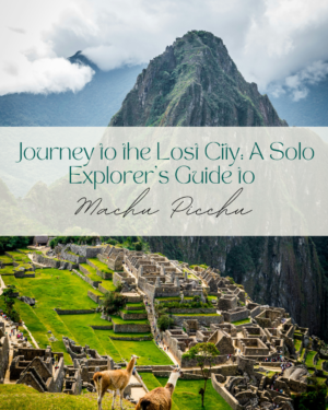 Machu Picchu guidebook cover with scenic views and llamas