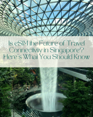 Singapore eSIM,travel eSIM Singapore,eSIM for tourists,Singapore travel connectivity,digital nomad Singapore,eSIM activation,Singapore SIM alternatives,international travel eSIM,prepaid eSIM Singapore,mobile connectivity Singapore