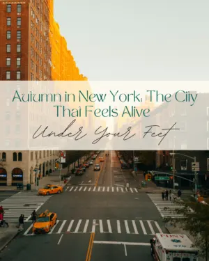 Autumn view of bustling New York City street