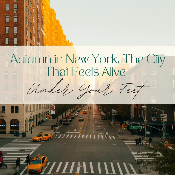 Autumn view of bustling New York City street