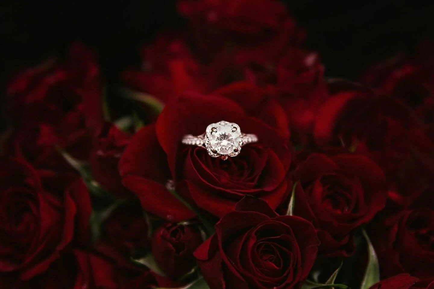 Engagement ring nestled in bouquet of red roses
