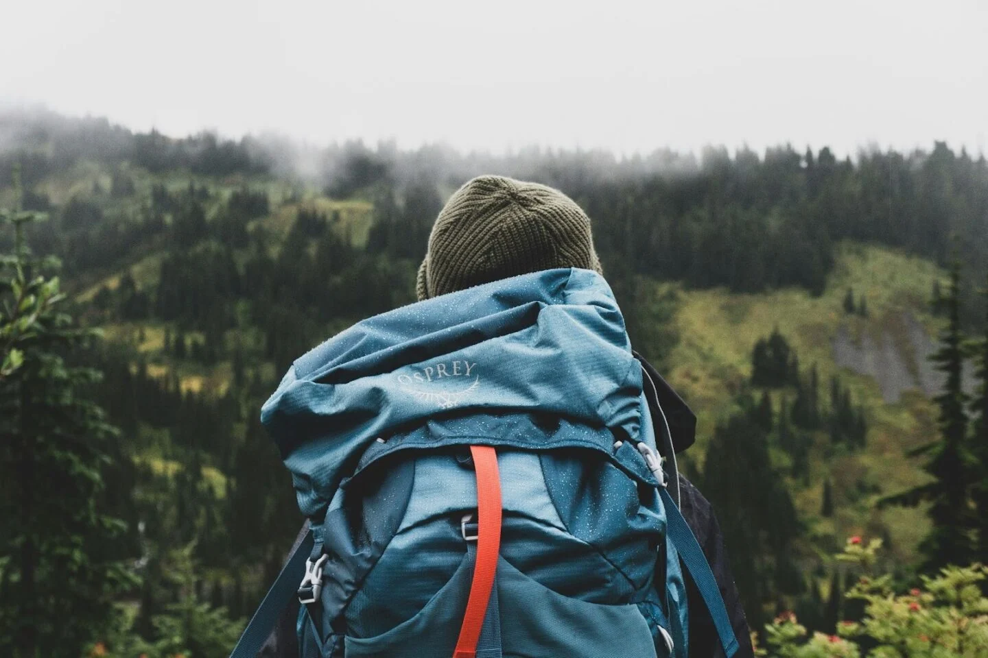Hiker with blue backpack facing misty forested hills