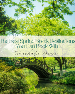 spring break destinations,timeshare points travel,best spring break locations,timeshare resorts USA,Orlando spring break,Cancun spring break,Myrtle Beach vacation,Las Vegas spring break,San Diego travel,timeshare vacation tips,family spring break ideas,affordable spring break trips,vacation club resorts,timeshare rental options,travel planning spring break