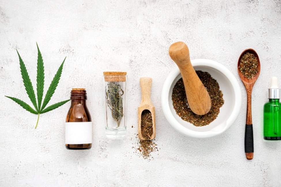 wellness and cannabis culture,cannabis lifestyle,cannabis wellness trends,mindful living,intentional lifestyle choices,cannabis education,responsible cannabis use,cannabis gardening,home cannabis cultivation,legal cannabis growing,gardening and wellness,nature based wellness,holistic lifestyle,modern wellness trends,cannabis community,outdoor wellness activities,sustainable living,personal wellness routines,cannabis culture evolution,alternative wellness practices