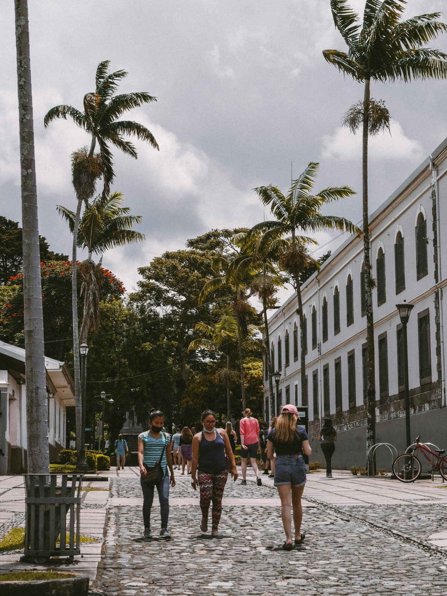 People walking on cobblestone street with palm trees