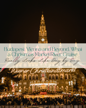 Crowded Vienna Christmas market at night with illuminated city hall.
