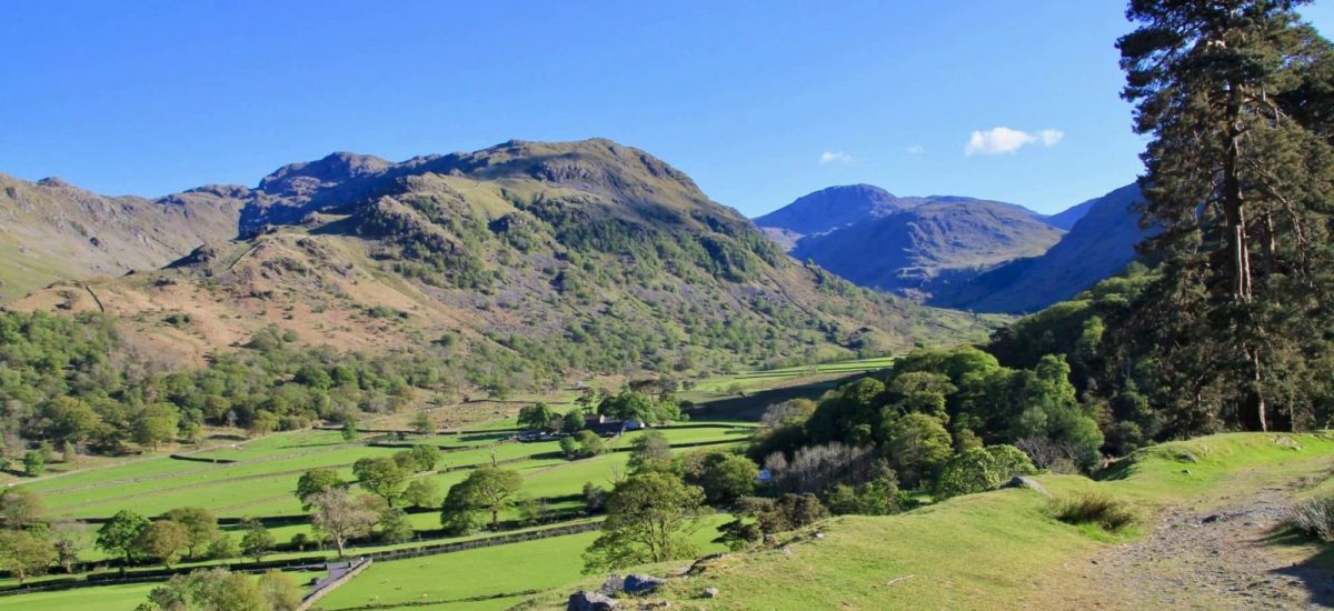 Borrowdale A Guide to The Lake District Blog