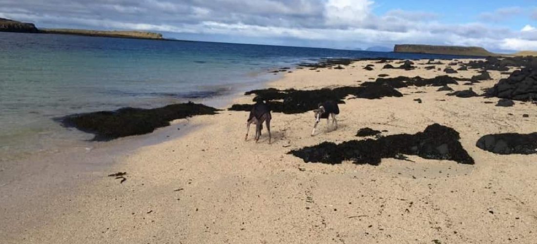 Monreith beach 3 Dumfries and Galloway Guide