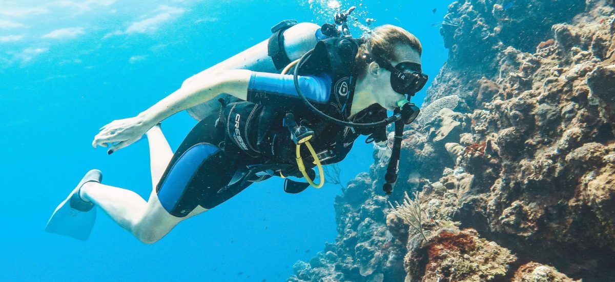 The Ultimate Guide to Diving in Cozumel | Cozumel dive sites, companies & accommodation