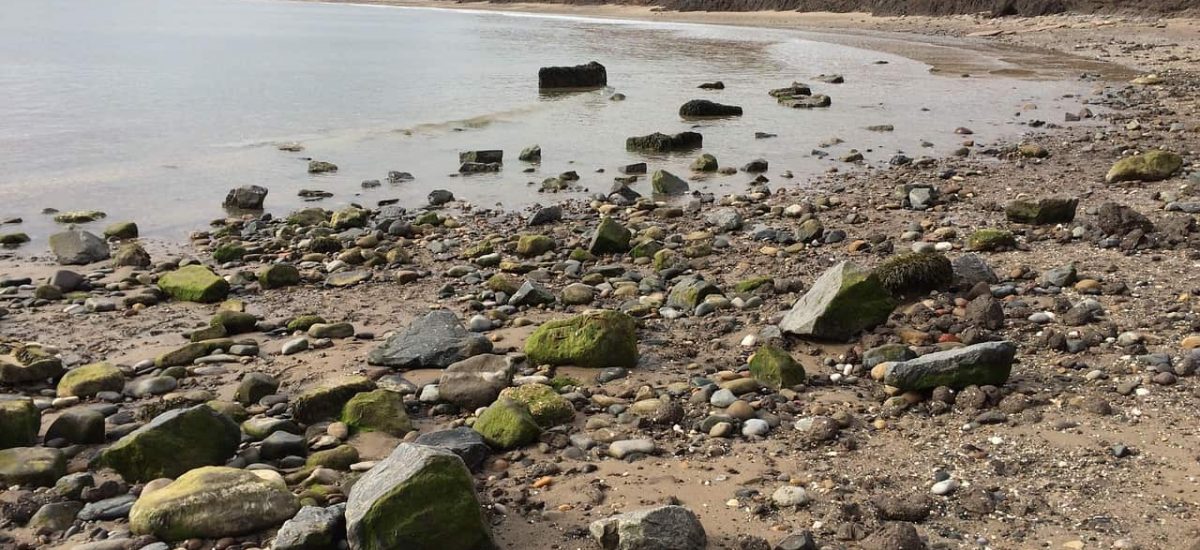 hornsea-2151787_1280 hornsea-2151787_1280